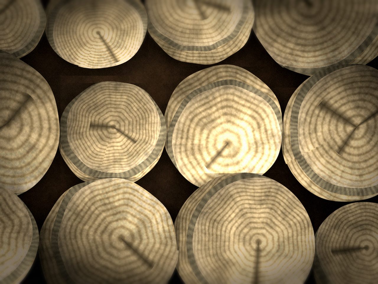 Осиновые дрова — ракурс 2